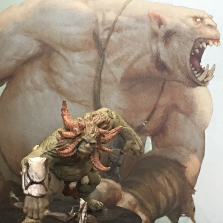 Ogre mini