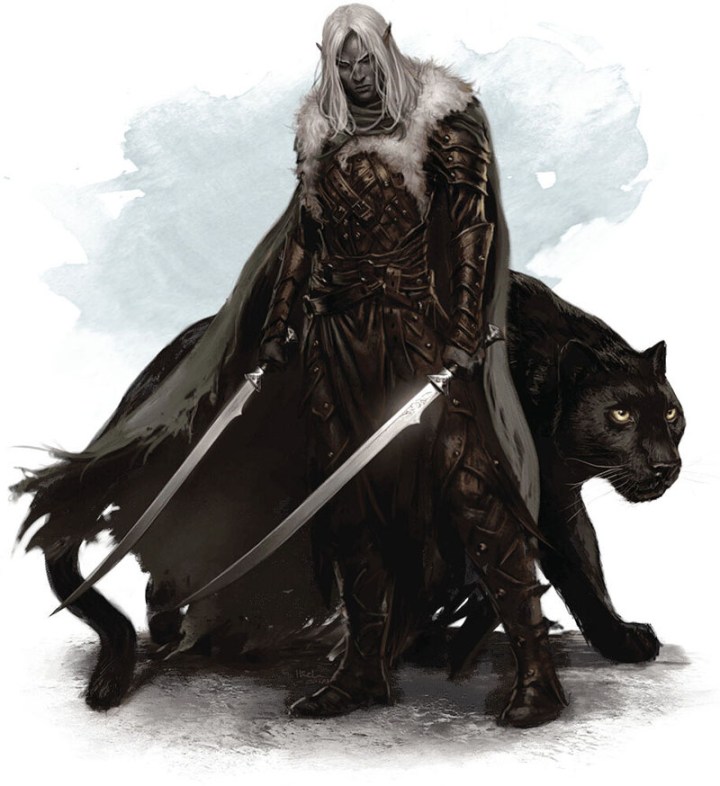 Drizzt Guenhwyvar