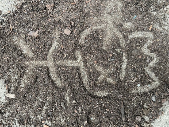 Bullywug Dirt Drawing