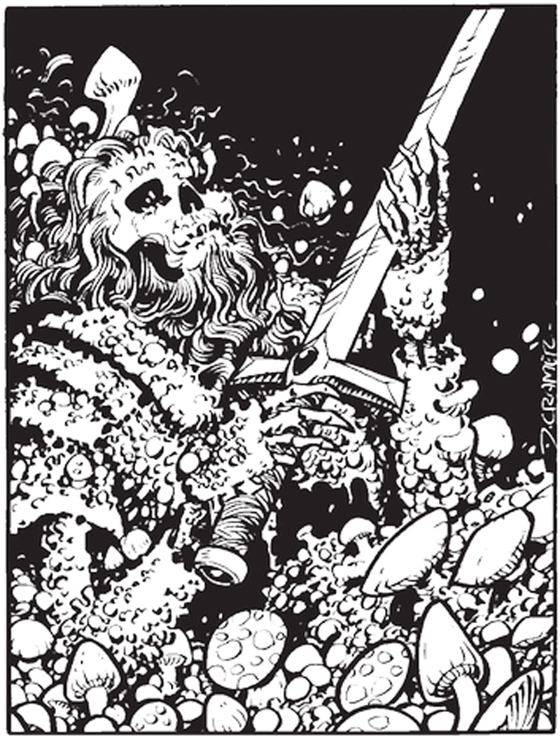 Forge Fury 3e bw Fungus