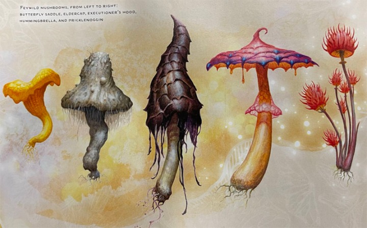 WBTW Mushrooms