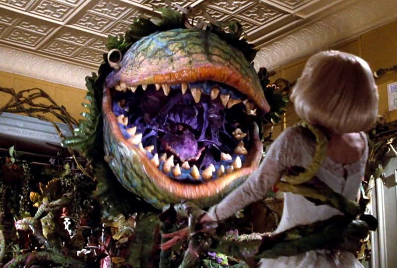 Little Shop Horrors Audrey II