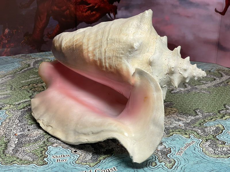 ToA Aldani Conch Shell