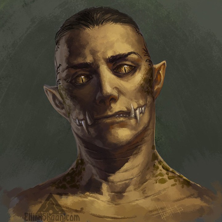 ToA Pureblood worldanvil