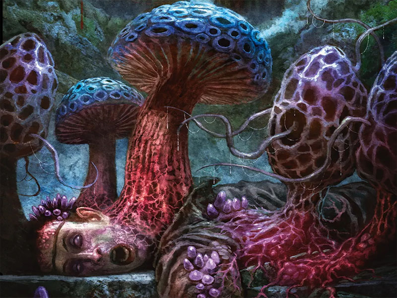 ToA Purple Fungus thumb