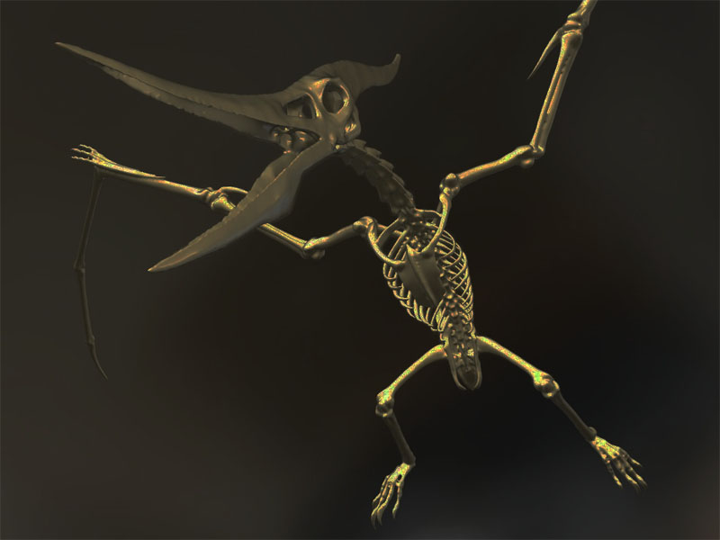 Pteranodon Skeleton